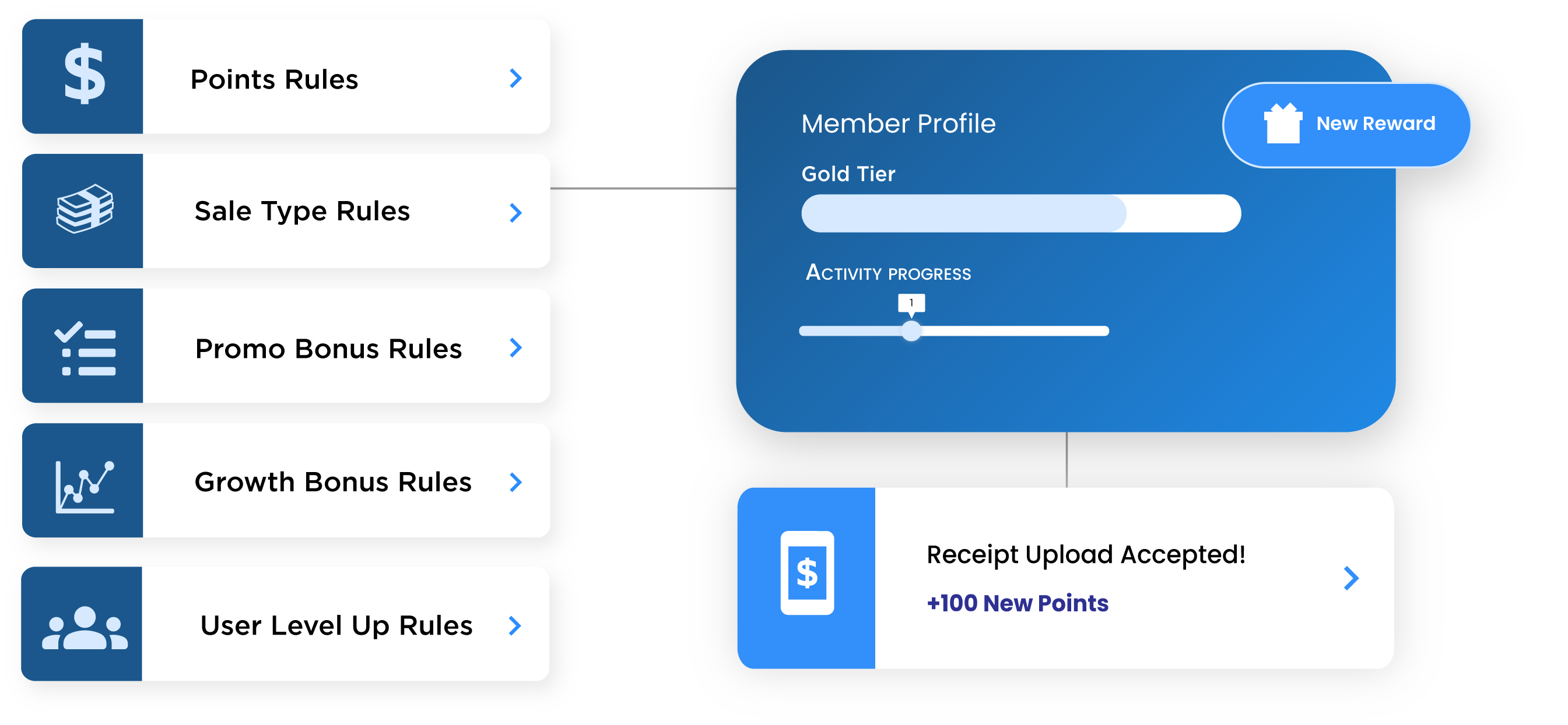 b2b-loyalty-platform-member-rules