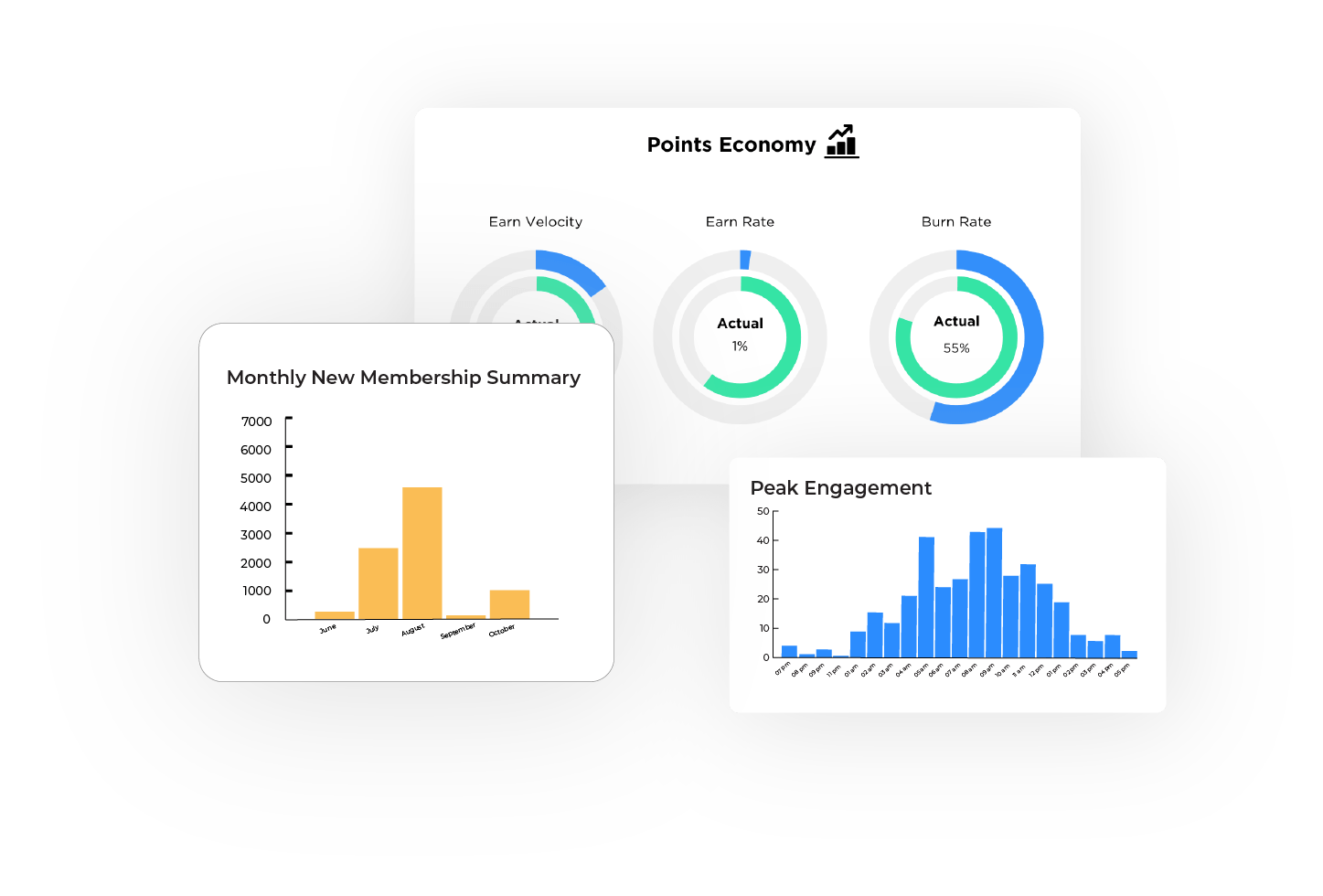 cpg loyalty program points economy, new membership summary, and peak engagement analytics module